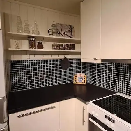 Sentrumsnaer Sokkelleilighet Apartment