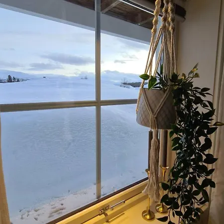 Sentrumsnaer Sokkelleilighet شقة