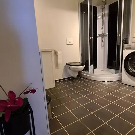 Sentrumsnaer Sokkelleilighet *