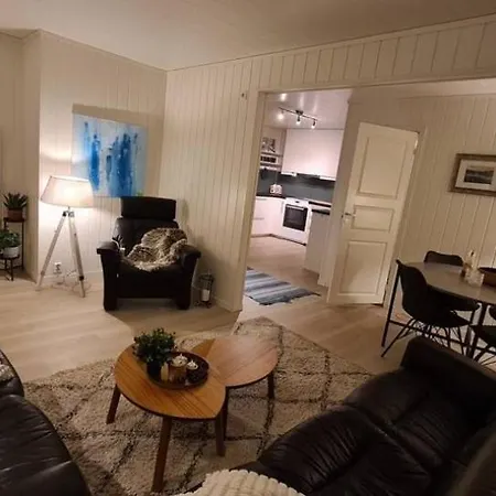 Apartment Sentrumsnaer Sokkelleilighet *