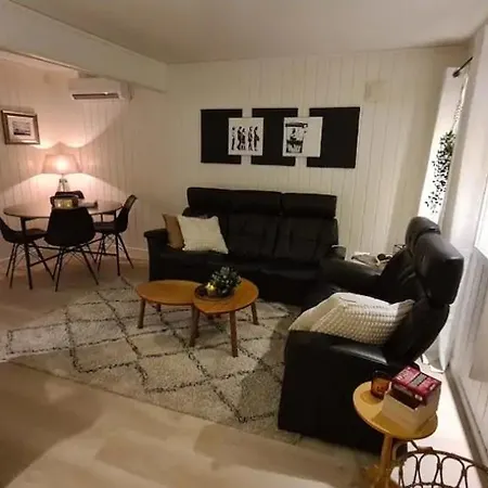 Sentrumsnaer Sokkelleilighet Apartment