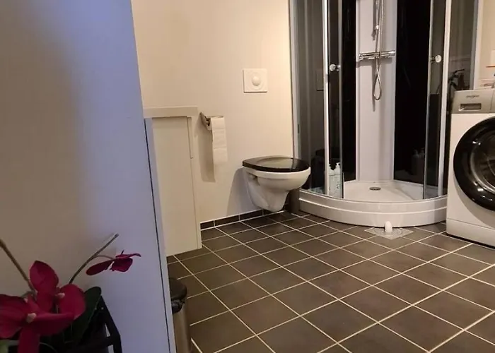 Sentrumsnaer Sokkelleilighet *